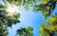 Meteorologia: Temperaturas vão descer