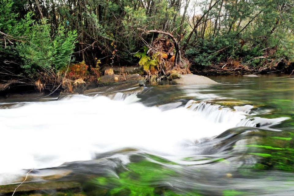 BRAGA: Praia fluvial do Cavadinho distinguida com ‘Qualidade Ouro’ pela Quercus
