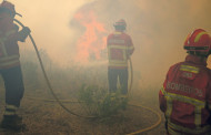 ASSINAR  Pedrógão Grande: Impacto na saúde das dioxinas produzidas no incêndio está a alarmar investigadores