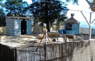 Brácaros reconquistam Braga com Festival Castro Galaico já esta quinta-feira