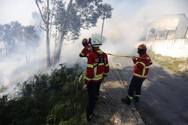 INCÊNDIOS FLORESTAIS: Homem de Barcelos detido por fogo posto