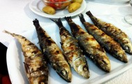 Proibição de pesca da sardinha é  “impensável”, diz ministra do Mar