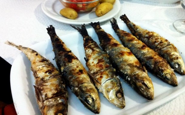 Proibição de pesca da sardinha é  “impensável”, diz ministra do Mar