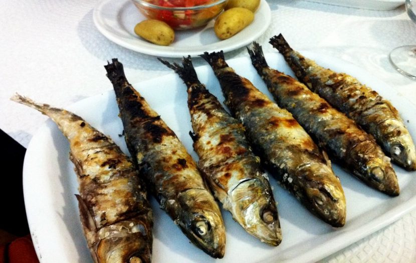 Proibição de pesca da sardinha é  “impensável”, diz ministra do Mar