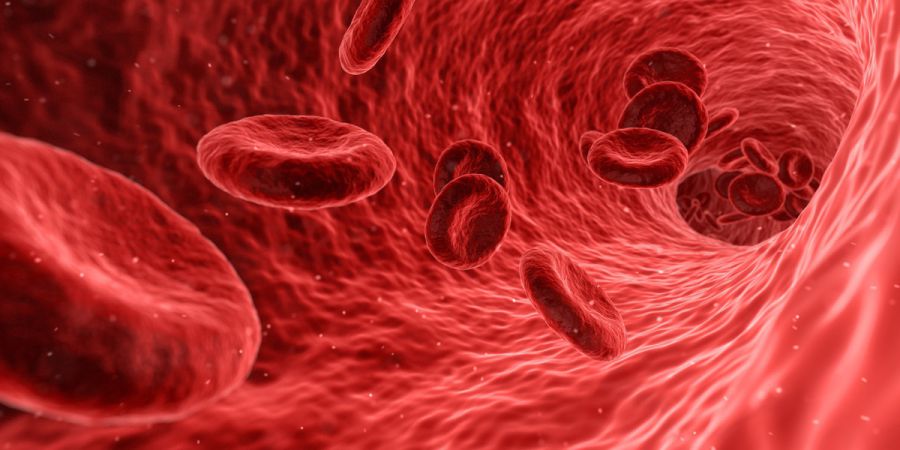 Cientistas já têm método não invasivo para avaliar risco de ataque cardíaco