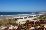 Praias de Esposende com ‘Qualidade de Ouro’ em apreciação no portal Mais Praia da Deco