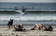 VIANA DO CASTELO: Cães já podem ir à praia do Coral