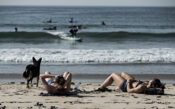 VIANA DO CASTELO: Cães já podem ir à praia do Coral