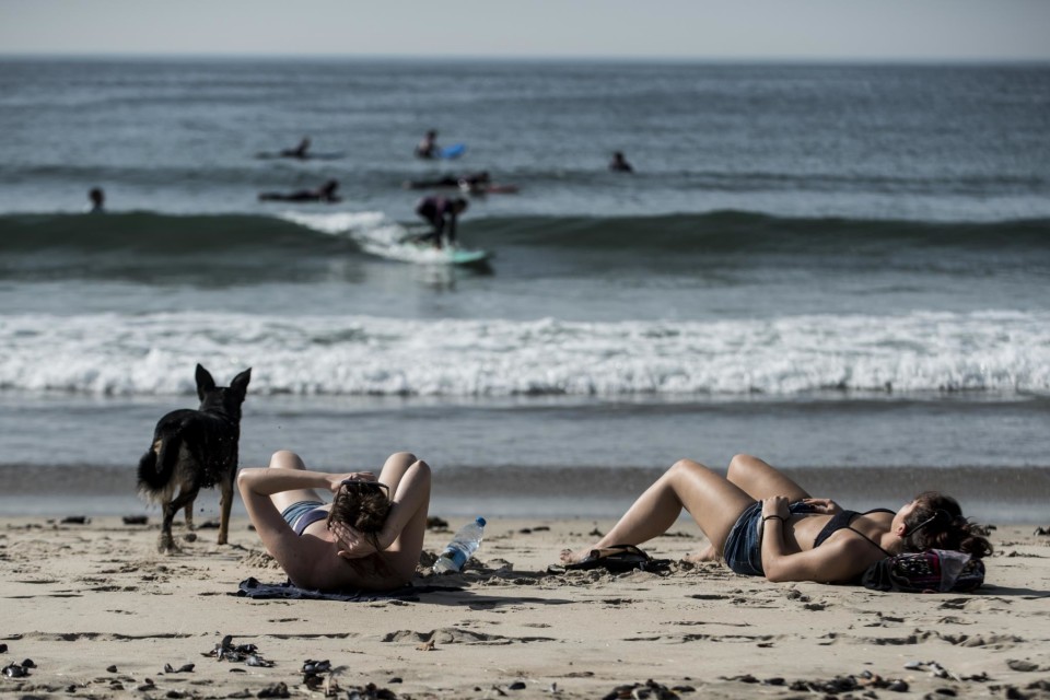 VIANA DO CASTELO: Cães já podem ir à praia do Coral