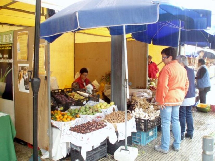 Semana do Mundo Rural promove tradições agrícolas e etnográficas de Braga
