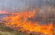 FAFE: GNR deteve mulher que fez queimada provocando um incêndio