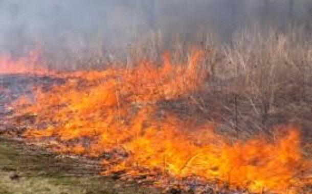 FAFE: GNR deteve mulher que fez queimada provocando um incêndio