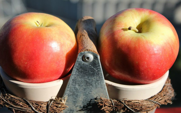 Associação Portuguesa de Nutrição lança recomendações de como implementar uma alimentação mais sustentável
