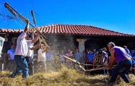 Vila Verde: Aboim da Nóbrega com turistas alemães e belgas a assistir a uma malhada de centeio à moda antiga