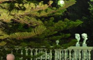 Museu Nogueira da Silva presente na Noite Branca de Braga