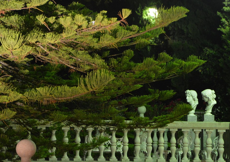 Museu Nogueira da Silva presente na Noite Branca de Braga