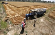 Aumenta o risco de escravatura moderna em Portugal