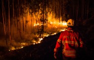 FOGOS: Portugal em primeiro lugar da União Europeia com mais área ardida