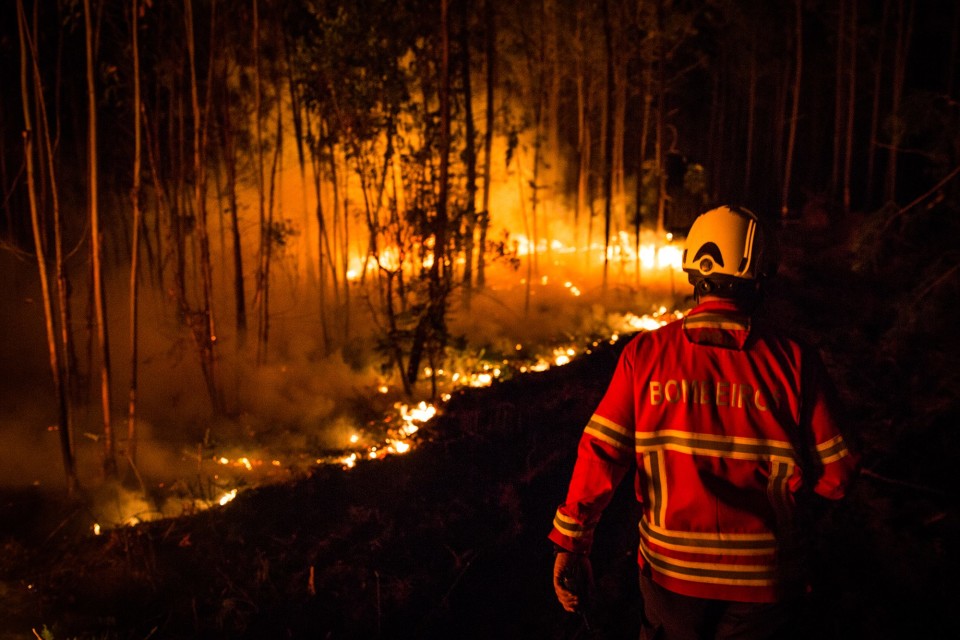 FOGOS: Portugal em primeiro lugar da União Europeia com mais área ardida