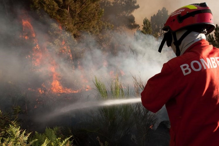 Distrito de Braga contribui com 24 fogos florestais para o recorde de incêndios deste ano