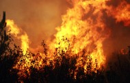 Três homens arguidos por incêndio negligente no Campo do Gerês