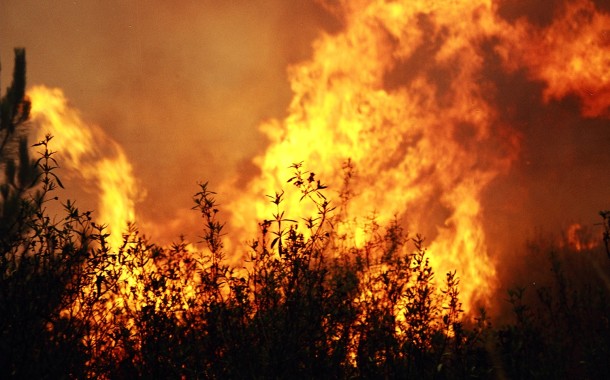 Três homens arguidos por incêndio negligente no Campo do Gerês