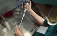 Projecto português sobre cancro gástrico premiado nos Estados Unidos
