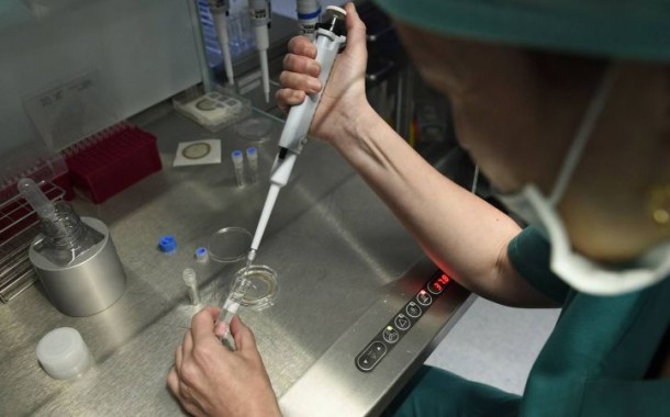 Projecto português sobre cancro gástrico premiado nos Estados Unidos