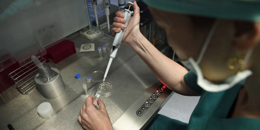 Projecto português sobre cancro gástrico premiado nos Estados Unidos