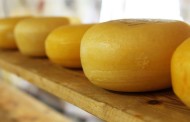 Alguns tipos de queijo podem aumentar imunidade e dar anos de vida