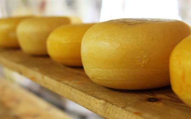 Alguns tipos de queijo podem aumentar imunidade e dar anos de vida