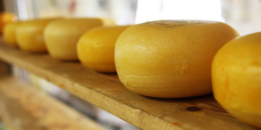 Alguns tipos de queijo podem aumentar imunidade e dar anos de vida
