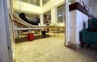 Casos de cólera no Iémen ultrapassaram o meio milhão