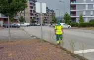 Vinagre de álcool para eliminar ervas daninhas das ruas de Braga