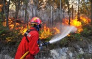 Judiciária deteve madeireiro incendiário em Fafe