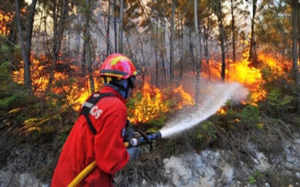 Judiciária deteve madeireiro incendiário em Fafe