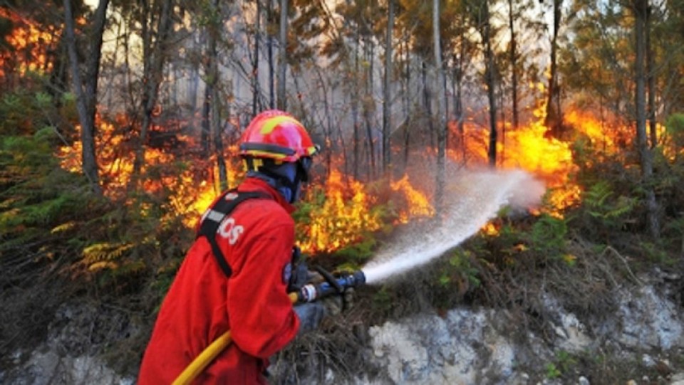 Judiciária deteve madeireiro incendiário em Fafe