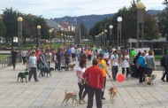 Associação de Vila Verde organiza “cãominhada” no próximo sábado