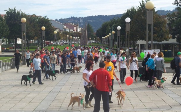 Associação de Vila Verde organiza “cãominhada” no próximo sábado