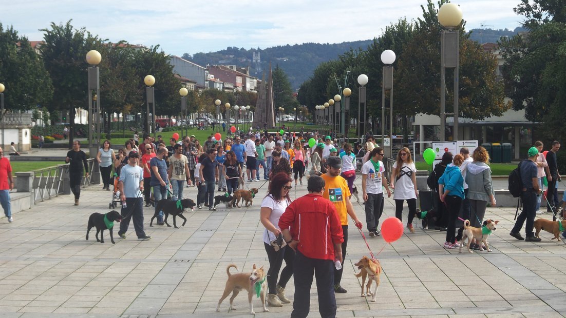 Associação de Vila Verde organiza “cãominhada” no próximo sábado