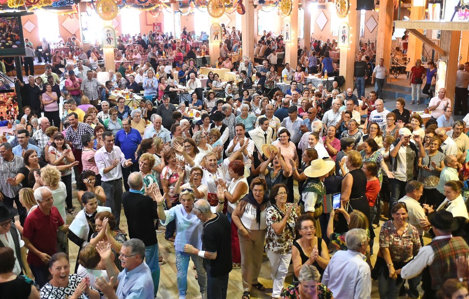 Câmara Braga leva cinco mil seniores à Malafaia