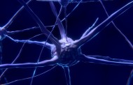Estudo da UMinho sobre doentes obsessivos publicado na revista ‘Translational Psychiatry’