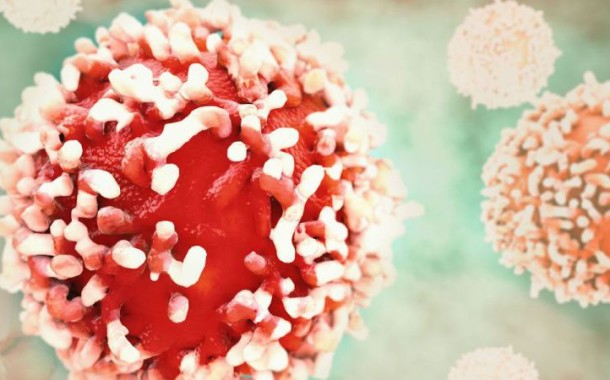 Células da leucemia resistem à quimioterapia porque são “rápidas” e “fogem” dentro da medula