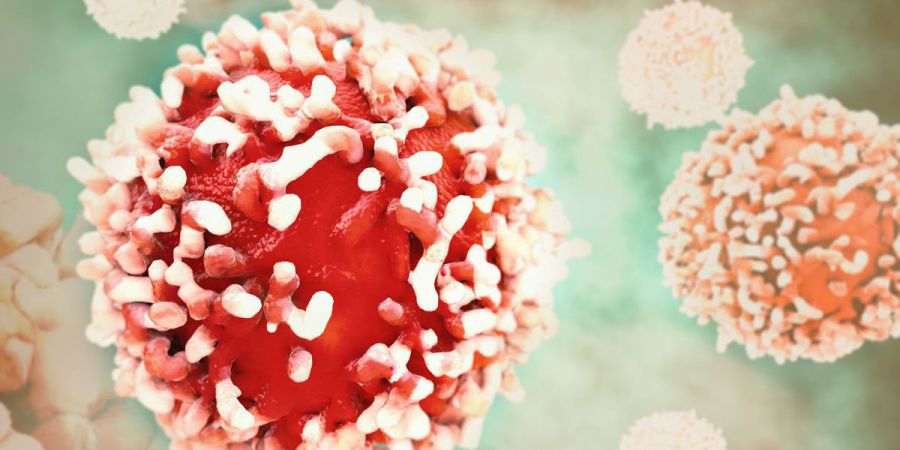 Células da leucemia resistem à quimioterapia porque são “rápidas” e “fogem” dentro da medula