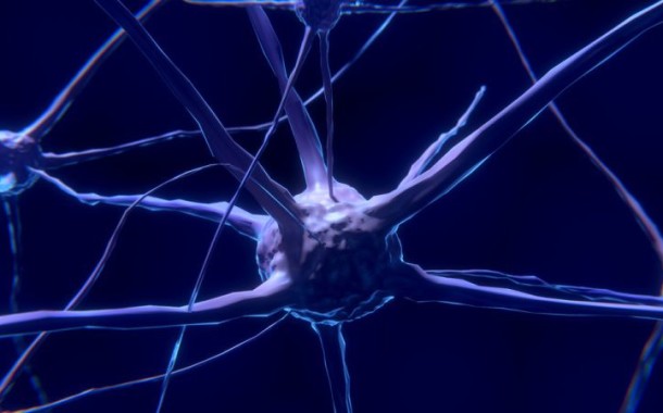 Estudo da UMinho sobre doentes obsessivos publicado na revista ‘Translational Psychiatry’