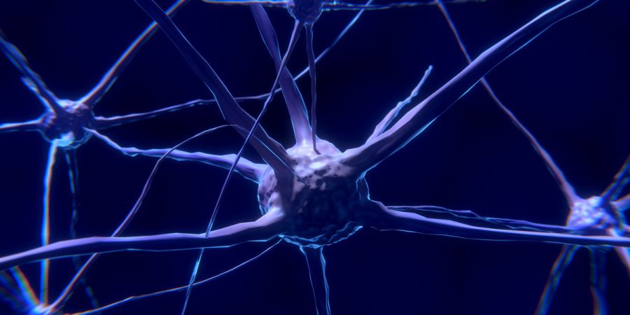 Estudo da UMinho sobre doentes obsessivos publicado na revista ‘Translational Psychiatry’