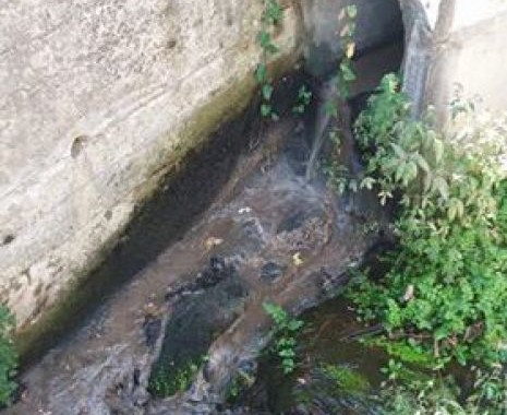 AMARES: Descargas poluentes na Ponte do Porto e em Ferreiros