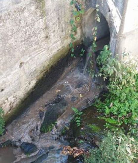 AMARES: Descargas poluentes na Ponte do Porto e em Ferreiros