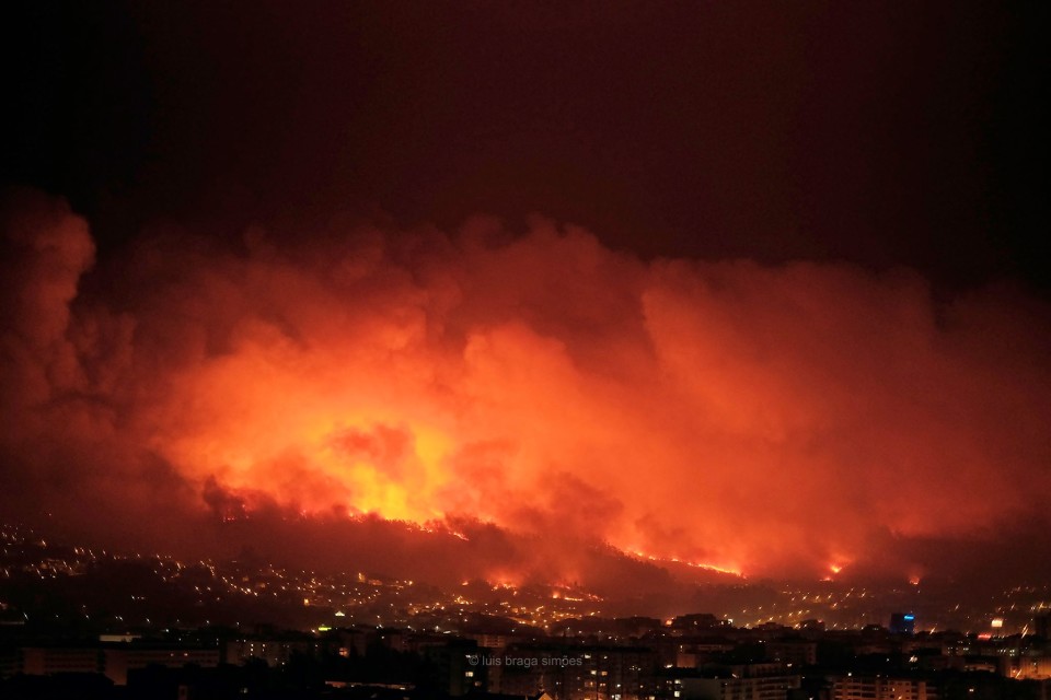 Firmino Marques lamenta que meios aéreos não tenham actuado no fogo que destruiu cerca de 1200 hectares de floresta em Braga