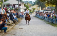 VILA VERDE: Equídeos são este fim-de-semana estrelas maiores das Feiras Novas de Pico de Regalados